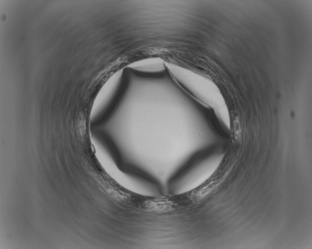 X0000062140372200601060929