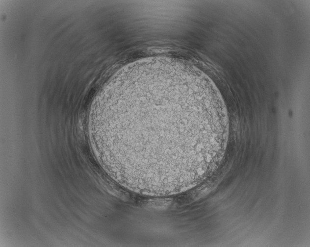 X0000062140373200601060929