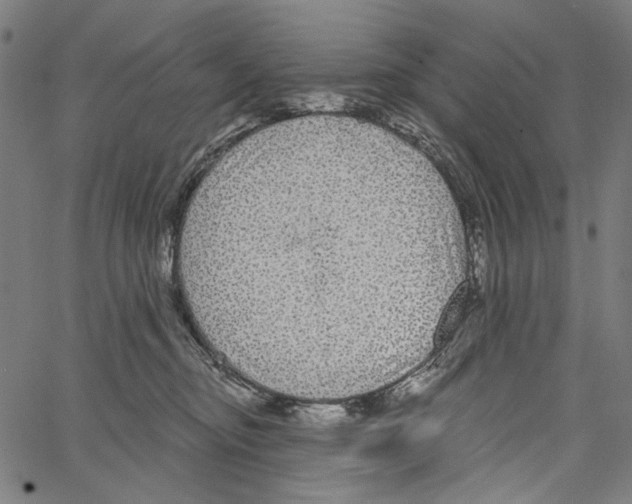 X0000062140374200601060929