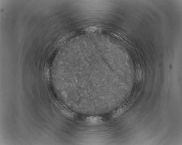 X0000062140375200601060929