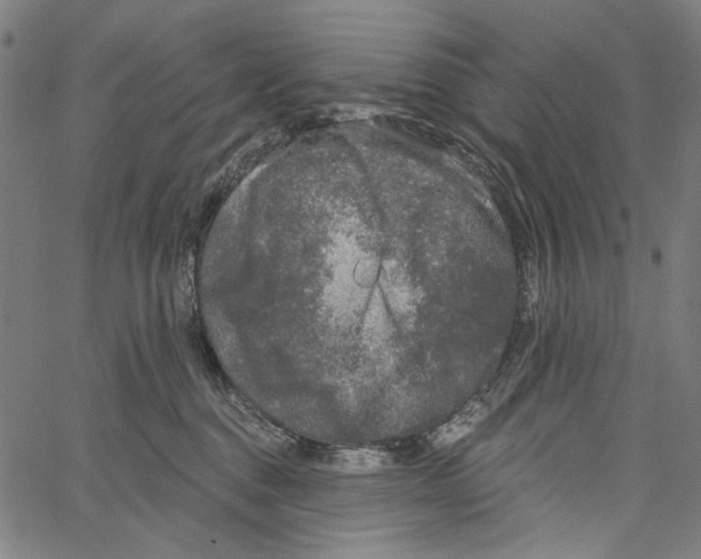 X0000062140376200601060929