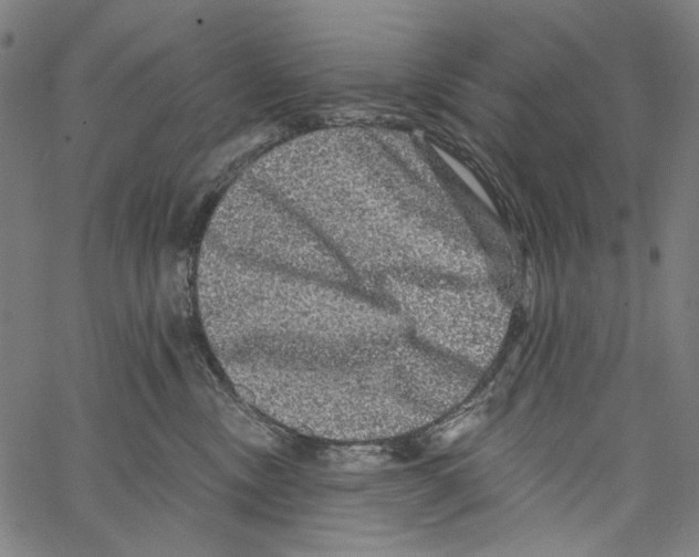 X0000062140378200601060929