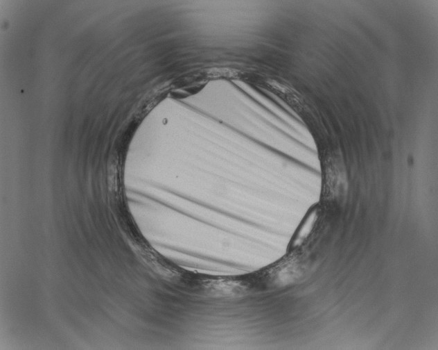 X0000062140379200601060929