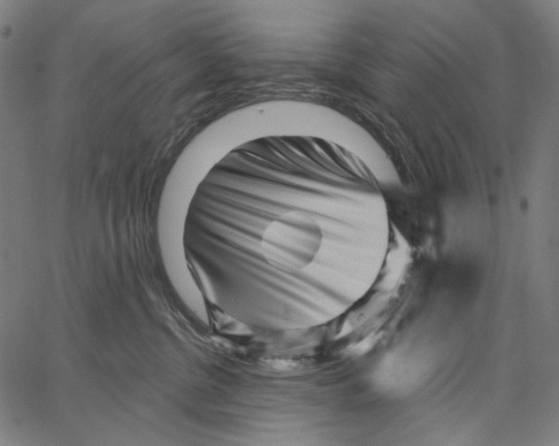 X0000062140380200601060929