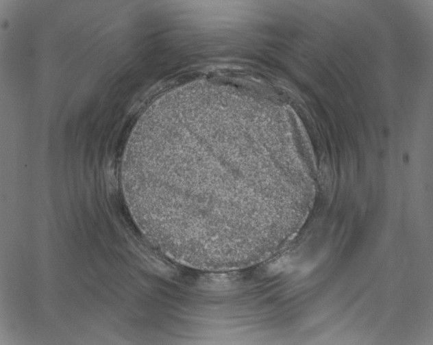 X0000062140381200601060929