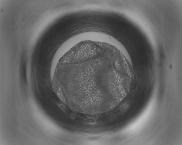 X0000062140382200601060929