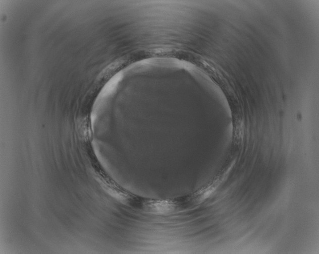 X0000062140383200601060929