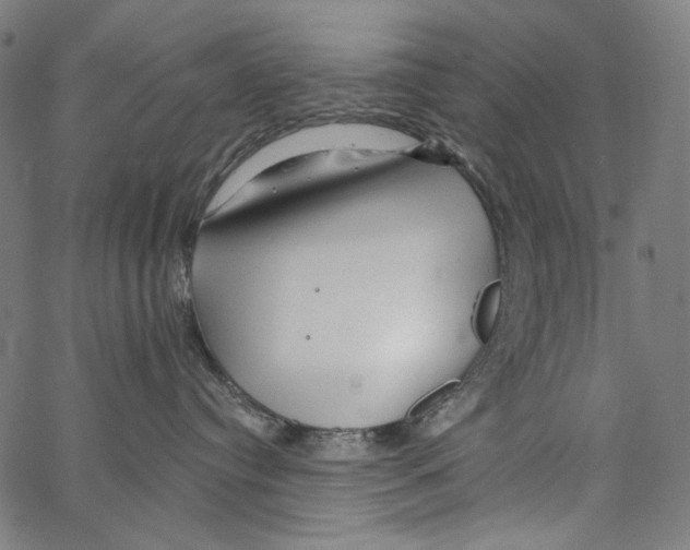 X0000062140384200601060929