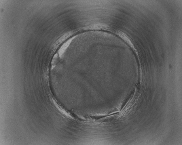 X0000062140389200601060929