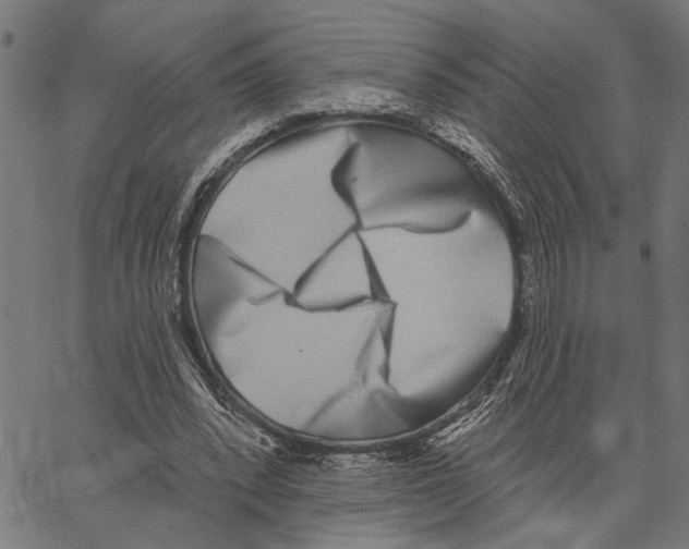 X0000062140392200601060928