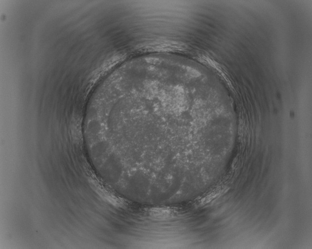 X0000062140394200601060928