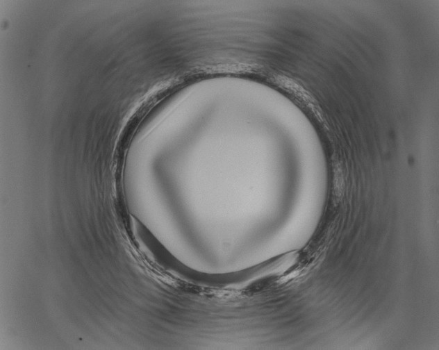 X0000062140395200601060928