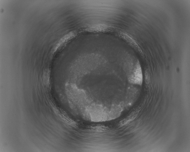 X0000062140396200601060928