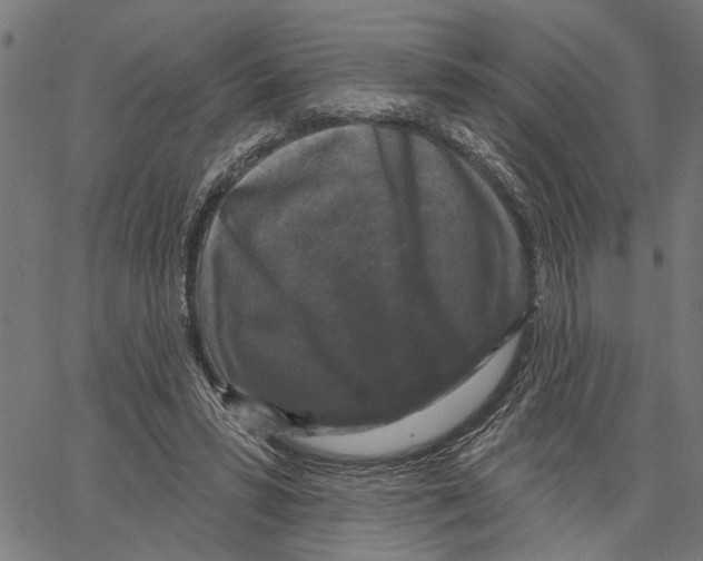 X0000062140399200601060928