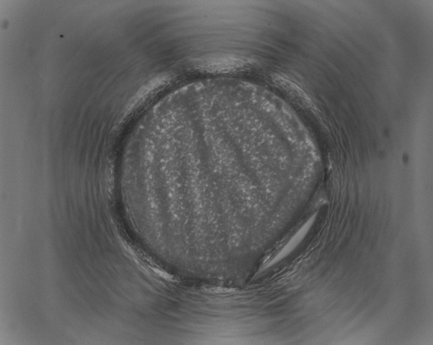 X0000062140400200601060928