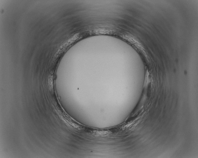 X0000062140401200601060928