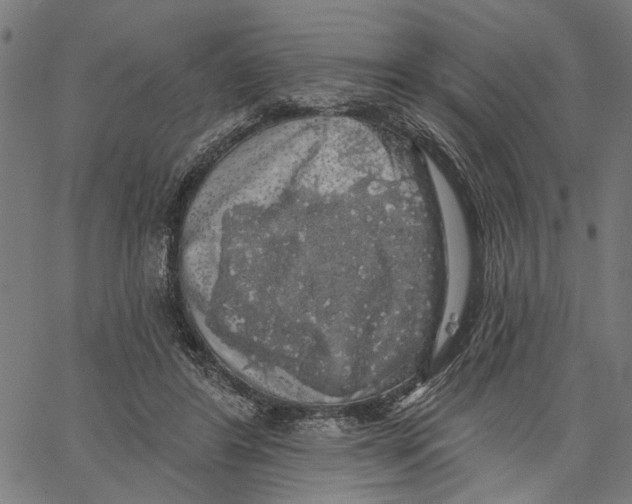 X0000062140404200601060928