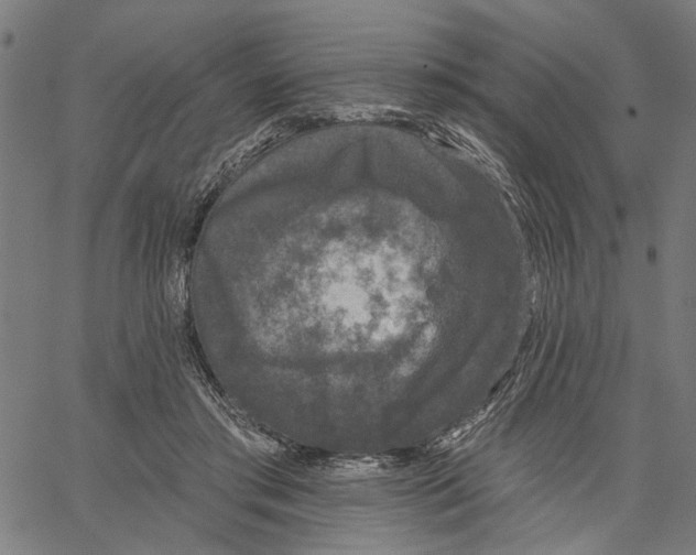 X0000062140405200601060928