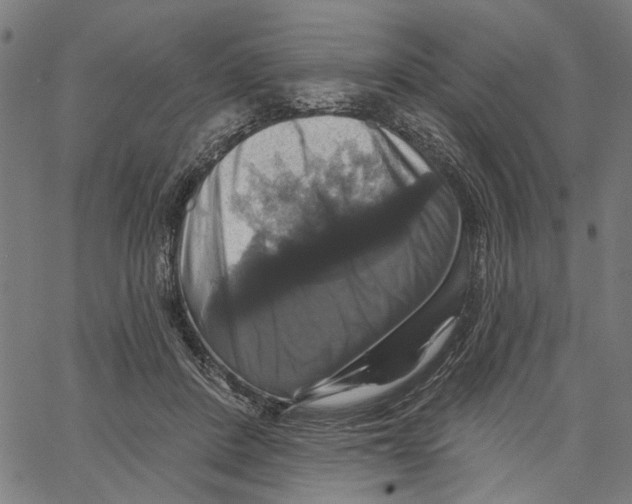 X0000062140408200601060928