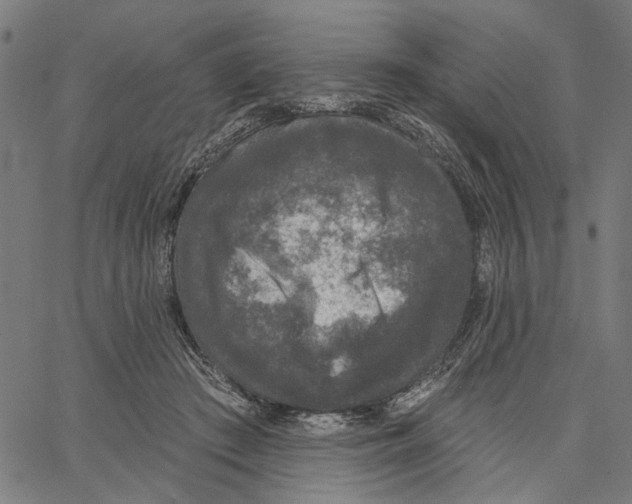 X0000062140409200601060928