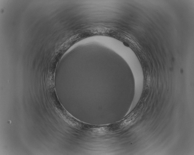 X0000062140411200601060928