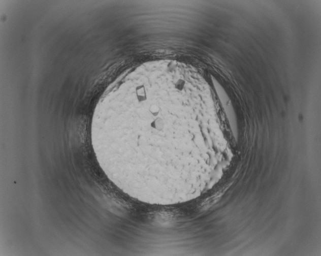 X0000062140412200601060928