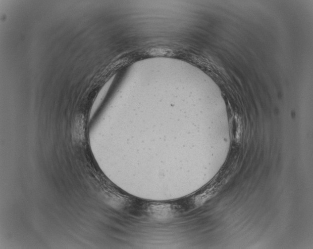 X0000062140413200601060928