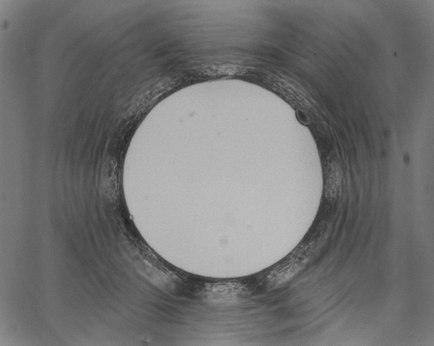 X0000062140414200601060928