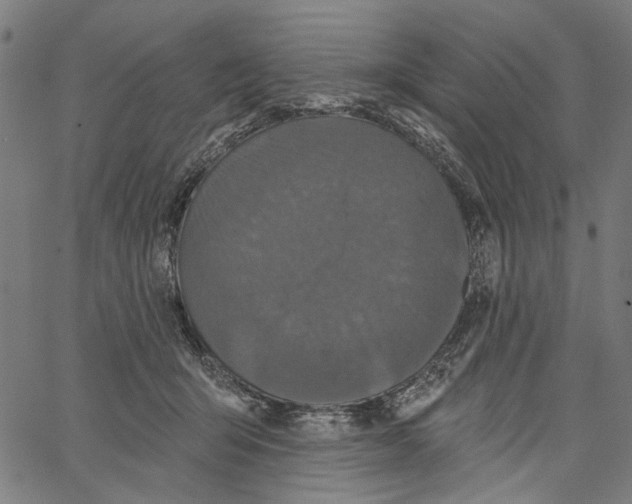 X0000062140415200601060928