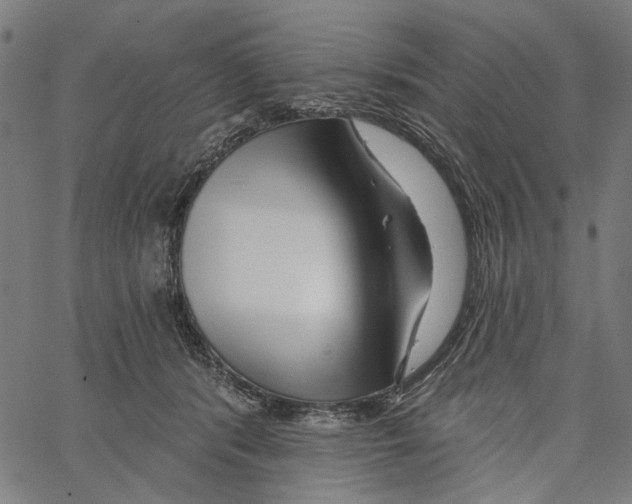 X0000062140416200601060928