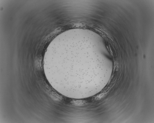 X0000062140417200601060928