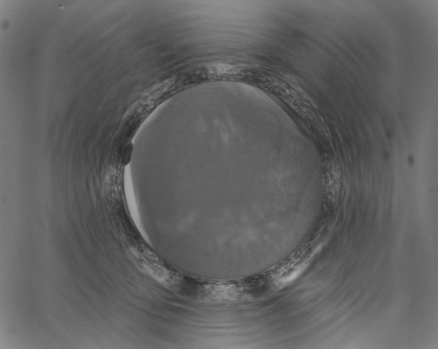 X0000062140419200601060928