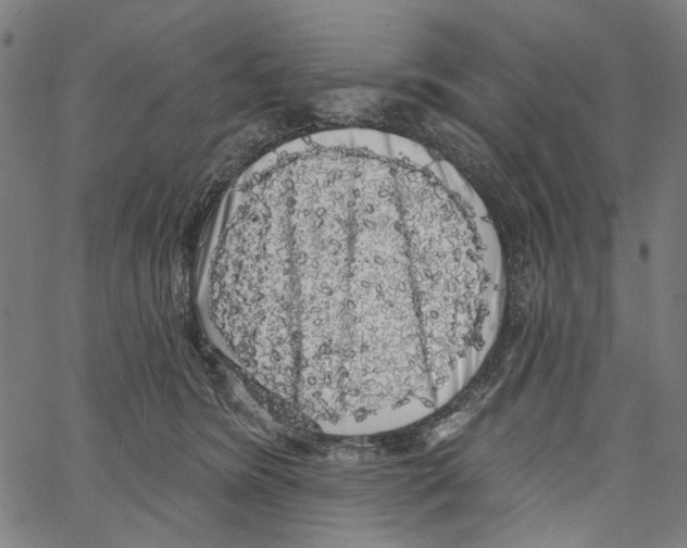 X0000062140420200601060928