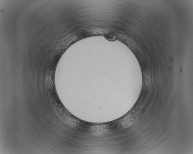 X0000062140422200601060928