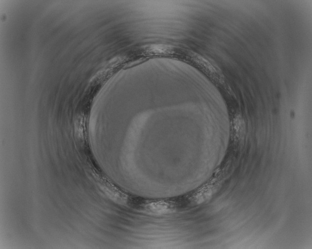 X0000062140423200601060928