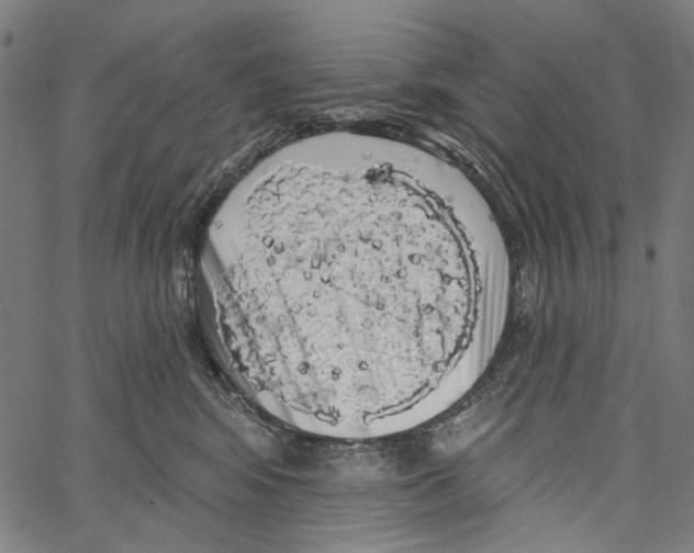 X0000062140424200601060928