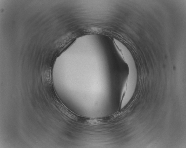 X0000062140425200601060928