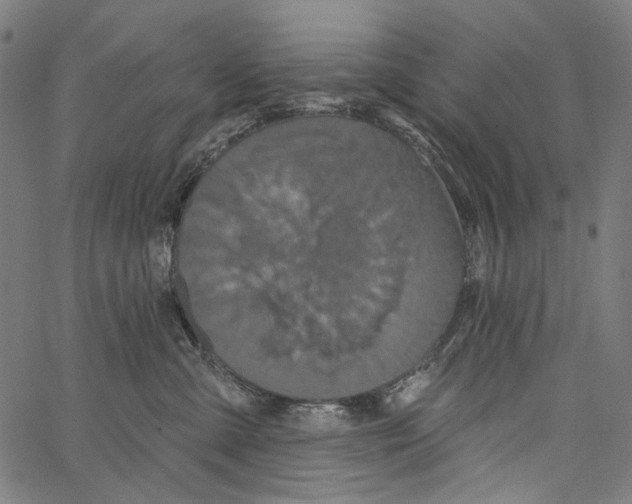 X0000062140427200601060928