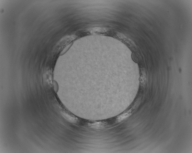 X0000062140430200601060928