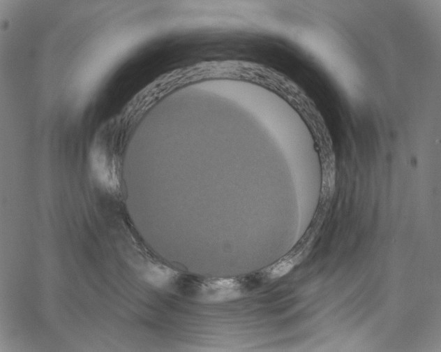 X0000062140431200601060928