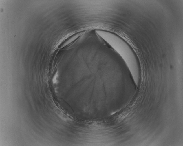 X0000062140434200601060927