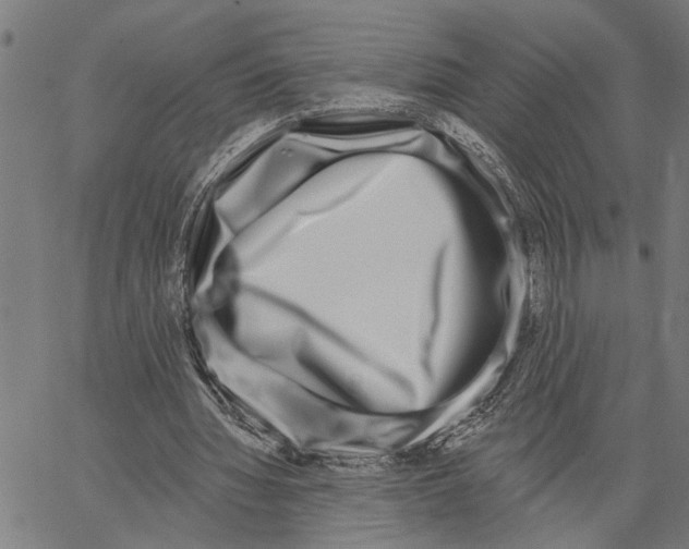 X0000062140436200601060927