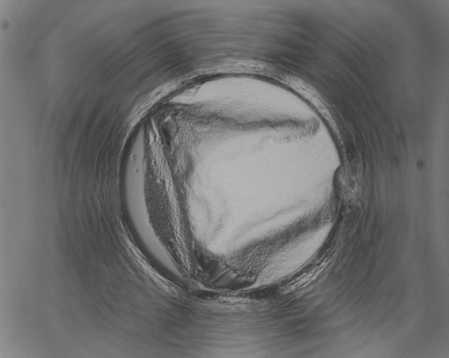 X0000062140437200601060927