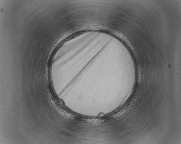 X0000062140439200601060927