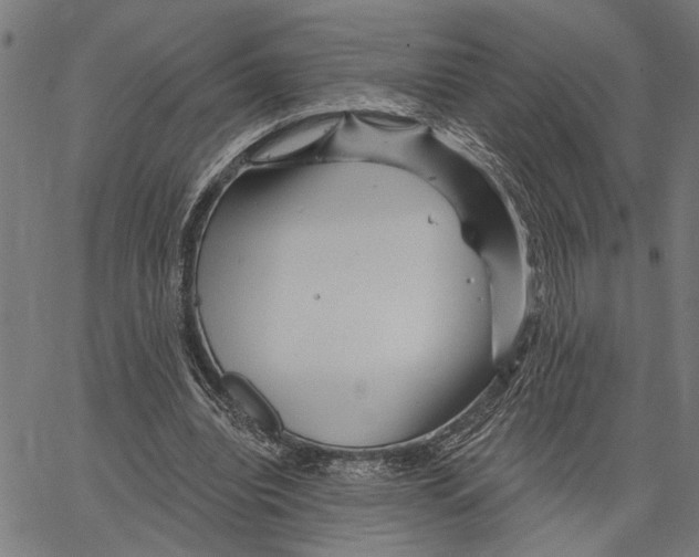 X0000062140440200601060927