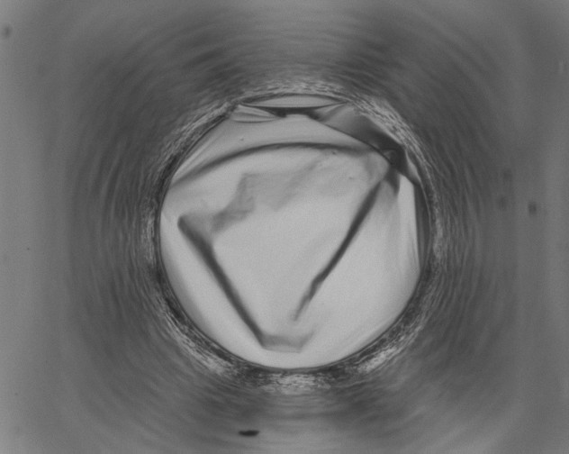 X0000062140441200601060927