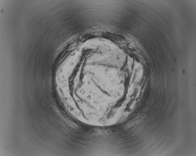 X0000062140442200601060927