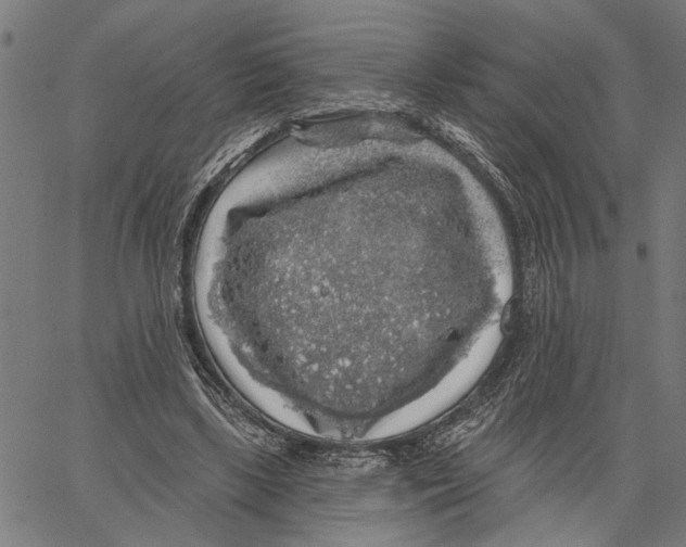 X0000062140443200601060927