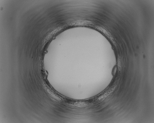 X0000062140445200601060927