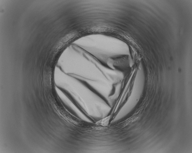 X0000062140446200601060927